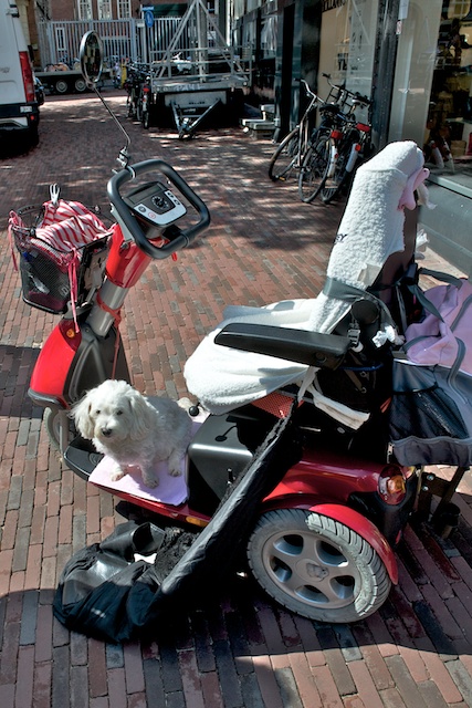 slideshow image